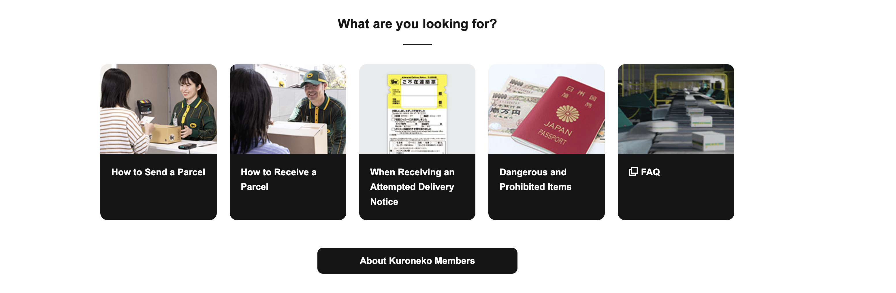 yamatoTransport.gallery3